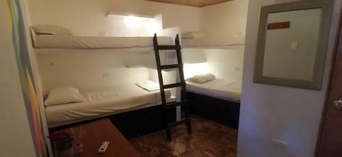 Hostal Casa Mam� Waldy New