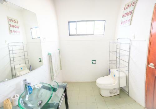 Bed & Breakfast Casa Roman Hotel Boutique