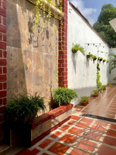 Bed & Breakfast Casa Roman Hotel Boutique