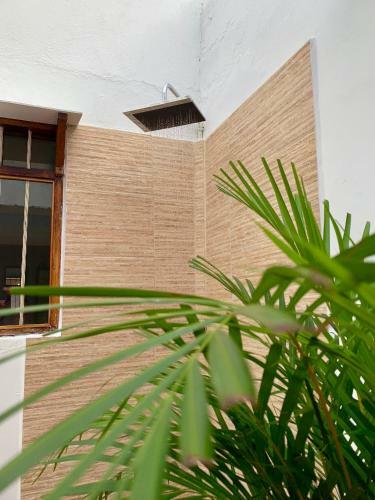 Pedregal Home