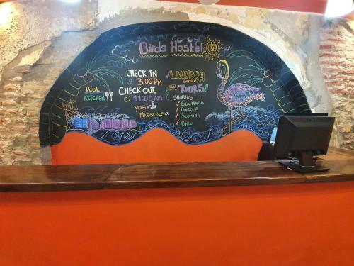 Hostal Birds Hostel