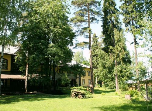 Art Hotel Pushkino