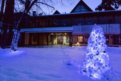 Art Hotel Pushkino