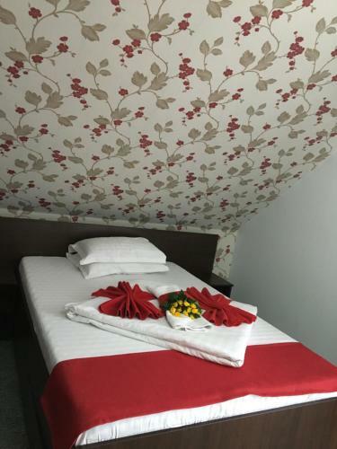 Hostal Pension La Viorel