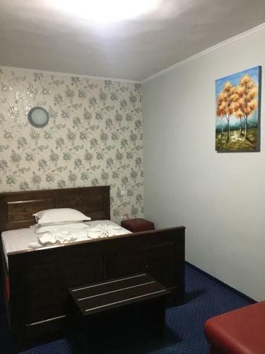 Hostal Pension La Viorel