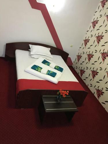 Hostal Pension La Viorel