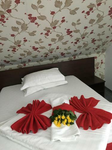 Hostal Pension La Viorel