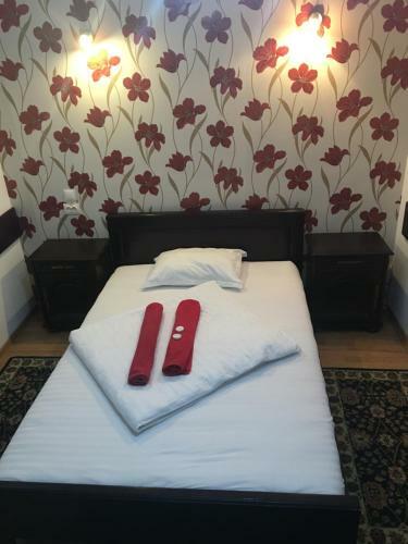 Hostal Pension La Viorel
