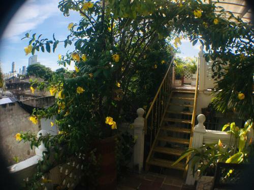 Casa Mary B&B