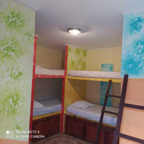 Hostal New Casa Dora