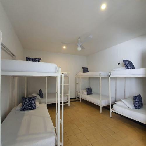 Antigua Hostel