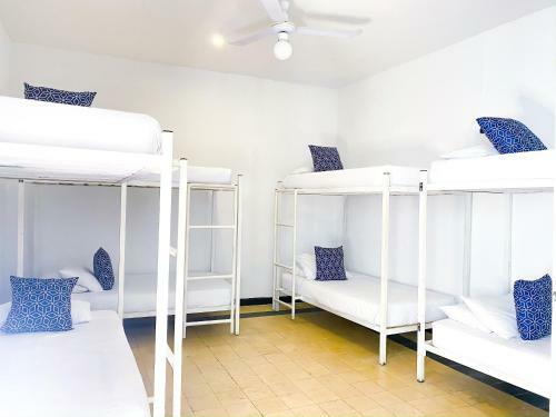 Antigua Hostel