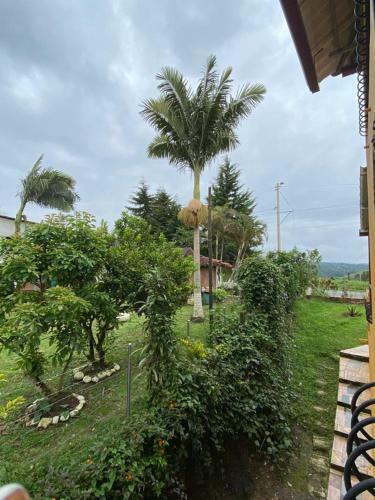 Hotel Hostal Wayare