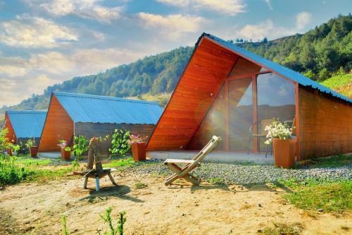 Glamping Curit�