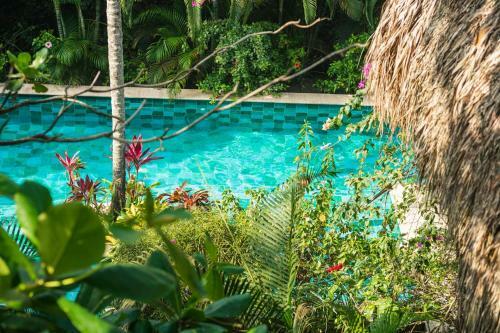 Hotel Cayena Beach Villa