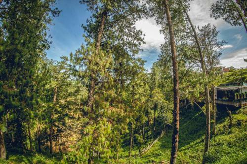 Hotel Mumu Guatap�