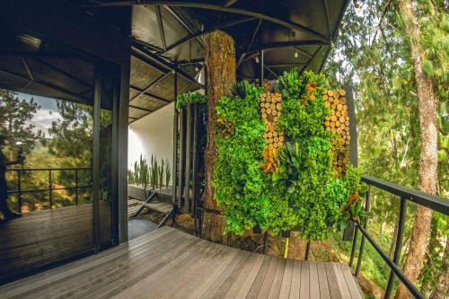 Hotel Mumu Guatap�