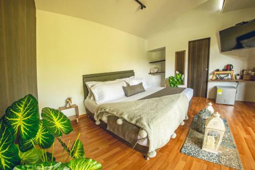 Hotel Mumu Guatap�