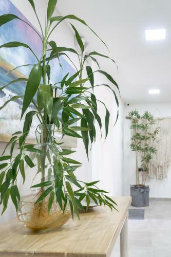 Apartamento Hotel Bambu Milla de Oro