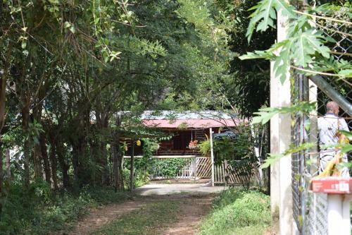 Hospedaje Los Pinos, Caba�a En Minca