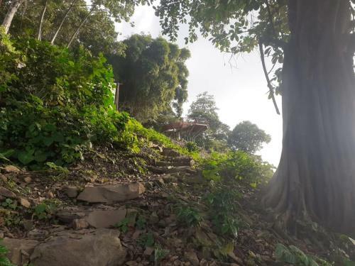 Hotel Trekker Glamping