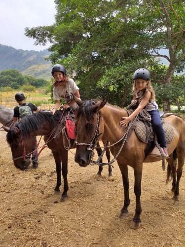 Hotel Trekker Glamping