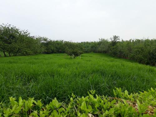 Hostal Rural Accommodation Los Cerezos