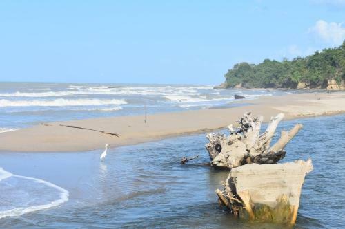 Posada Caba�as San Sebastian Palomino Beach Hostel