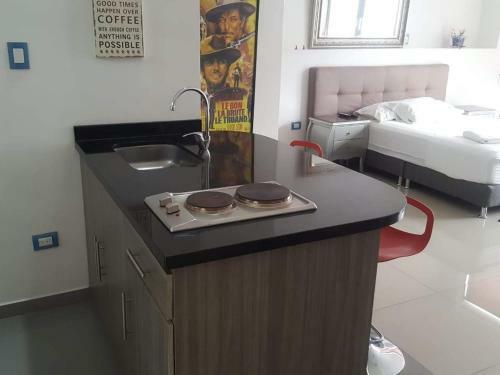 Apartamento Aparataestudio Amoblado Centro