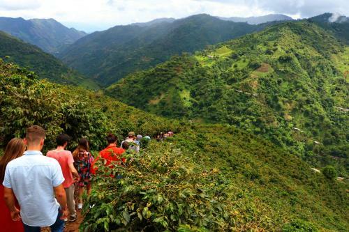 Lodge Finca La Manchuria