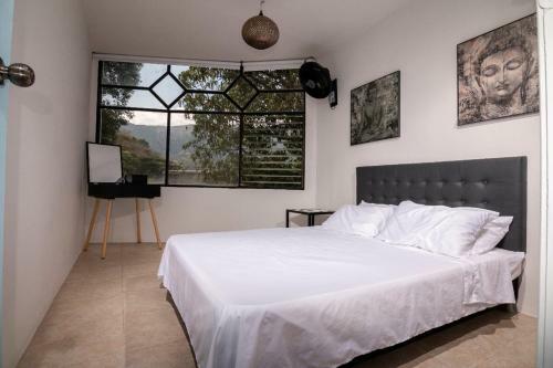 Hotel Yuluka Hostel