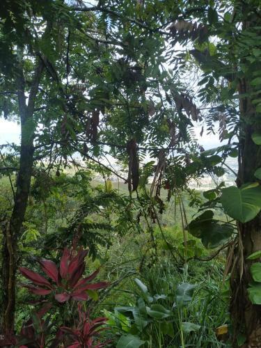 Finca Villacantares