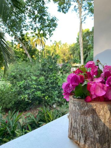 Hotel Selva Negra