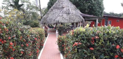 Small Rose Ecohotel