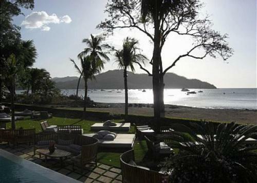 Pacifico #l202
