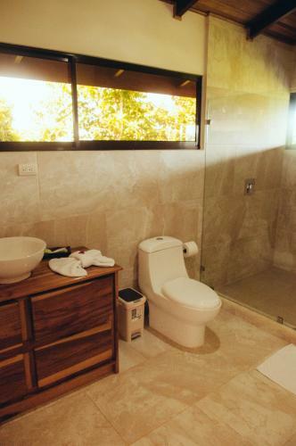 Hotel Drake Bay Greenleaf