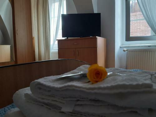 Hostal Casa Merisor