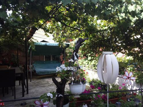 Hostal Casa Merisor