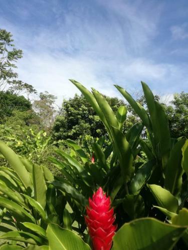 Posada Casona R�stica & Bungalow