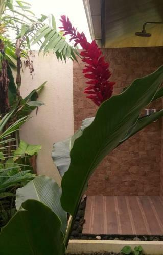 Hotel Tropical Suites