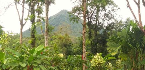 Hotel Tropical Suites
