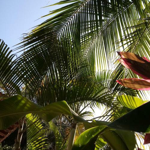 Bed & Breakfast Casa Pi�a