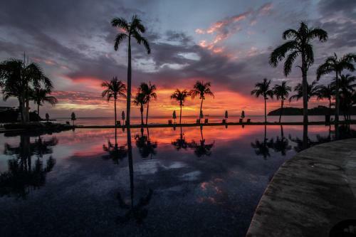 Palms 19