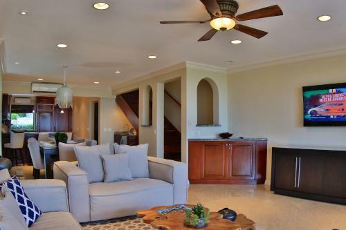 Palms 19