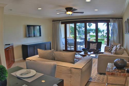 Palms 19