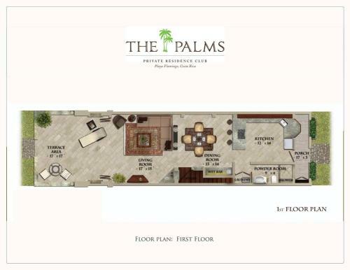 Palms 12