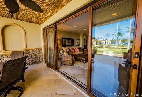 Palms 12