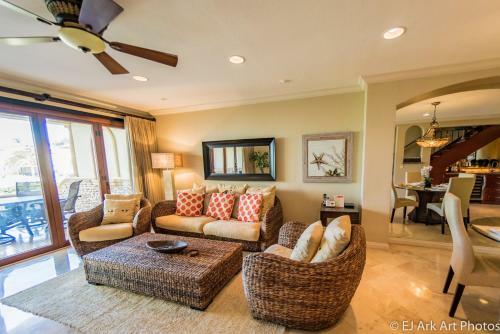 Palms 12