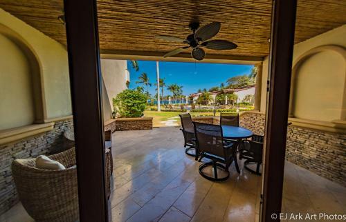 Palms 12