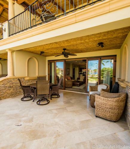 Palms 12